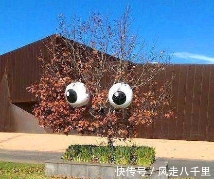 |搞笑图片幽默段子笑话:大哥你的车把手今天放假,哈哈哈