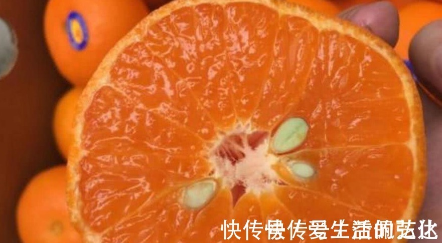 乳酸菌|女人常吃以下6种食物,能美容养颜、增强免疫力,早知早好