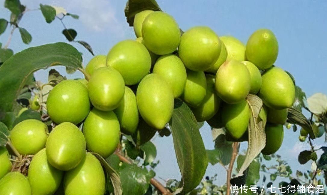 排毒|经常熬夜体质差,坚持吃3种食物,排毒消脂,美容护肤,营养瘦身