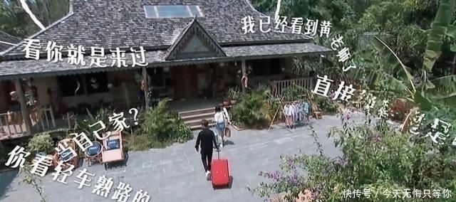 锦衣之下|任嘉伦陆绎人设崩塌,谭松韵崩溃大喊“任国超”,节目组都受不了