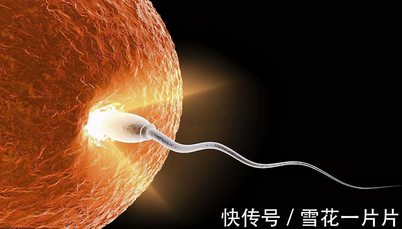 肚脐眼|怀的是男孩还是女孩,看孕妈肚脐“凹凸”就知道?科学解释在这里