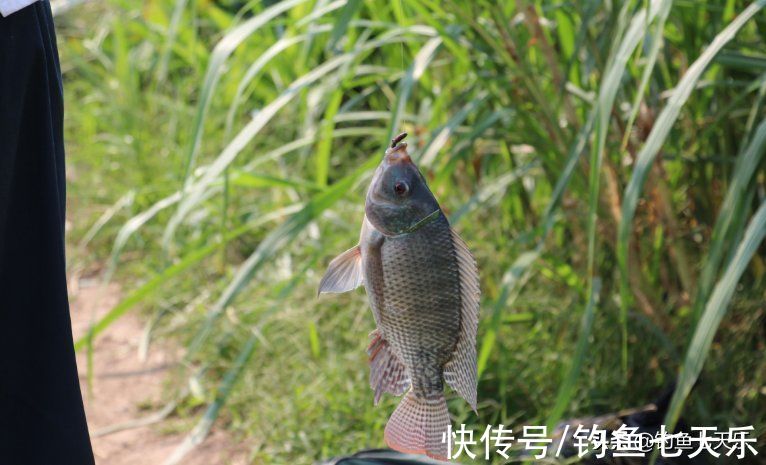 春季钓鱼，切勿到了水边就开钓，学会“3”秘诀，鱼获增加60%