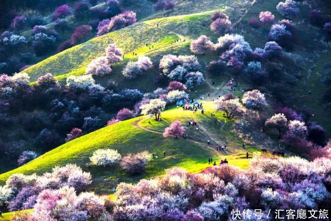 淋一场烟雨，遇一场花事，9个三月花海刷屏的地方