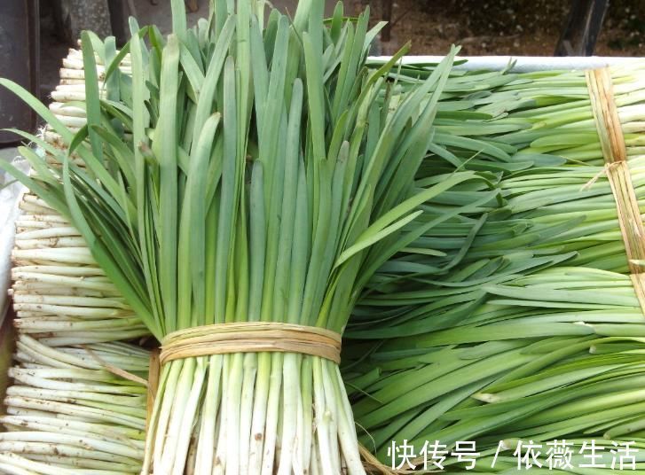 买韭菜时,看见这4种韭菜赶紧走,店家自己都不吃!别上当!