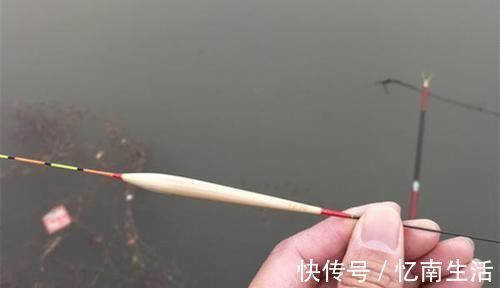 特点|鱼口轻，更要认真选浮漂，满足几个特点，能让浮漂动作更大！
