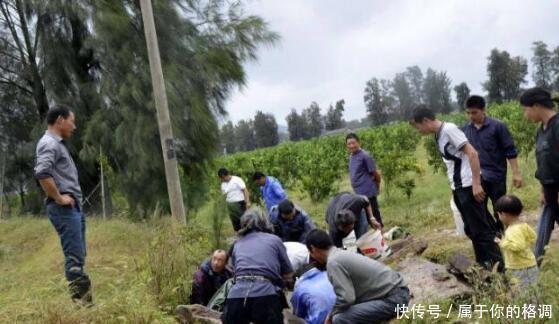 专家|水塘发现金币,古董商10万一枚收购,专家缴走后估值4亿