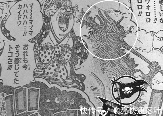 鬼岛|海贼王1003详细情报路飞被暴鲤龙吃进嘴里,索大击穿凯多龙鳞