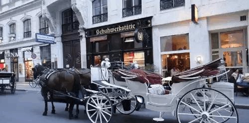 古代中国有四大发明 为何却一直使用落后的两轮马车 造不出高级的四轮马车 快资讯