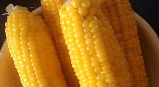 减肥|只吃不胖的四样食材,加快脂肪的消耗,帮你轻松拥有迷人身姿!