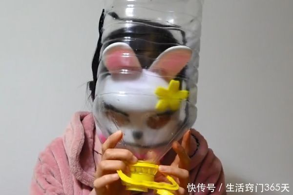 空油桶别再扔掉了,剪一刀套在脑袋上超实用,全家人都要抢着用!