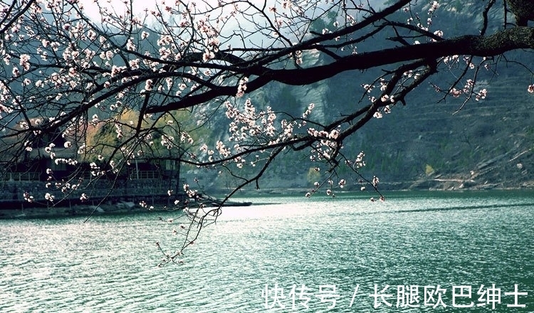 王晏媄$10首写雨诗词,《春夜喜雨》第三,《巴山夜雨》第二,哪首第一?