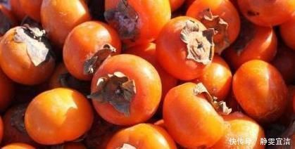 柿子|一个柿子可治“3种”疾病,很多人还蒙在鼓里,告诉家里人