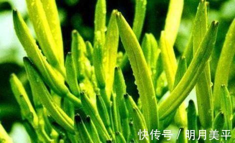 皮肤|女性想要皮肤好，建议吃3种食物，排毒养颜，滋润皮肤，富有弹性