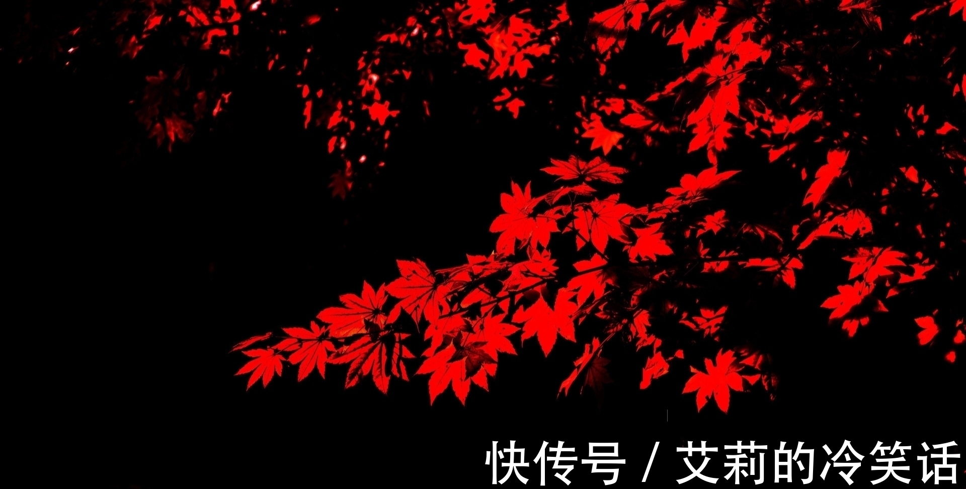 gt@七律·咏枫·九首丨满眼繁华尘外景,千年丽艳故园妆