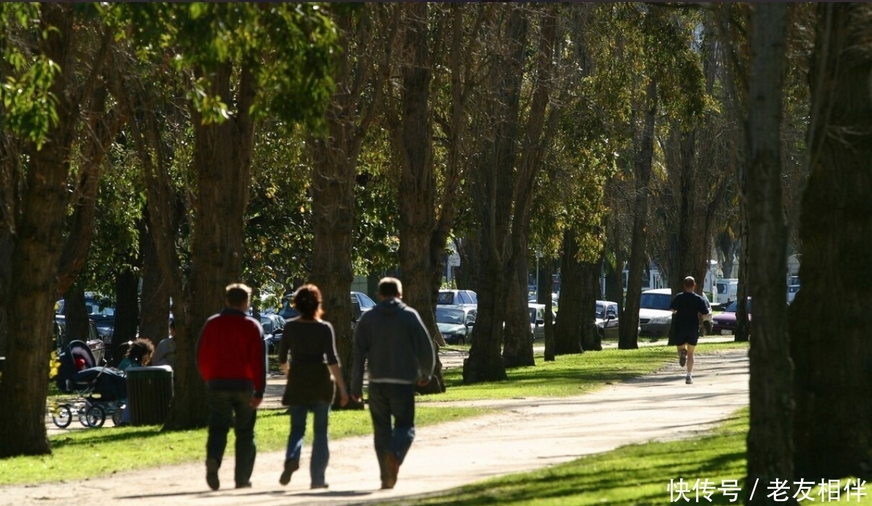 养生要从年轻开始,12时辰养生时间表,照着做才能越活越年轻