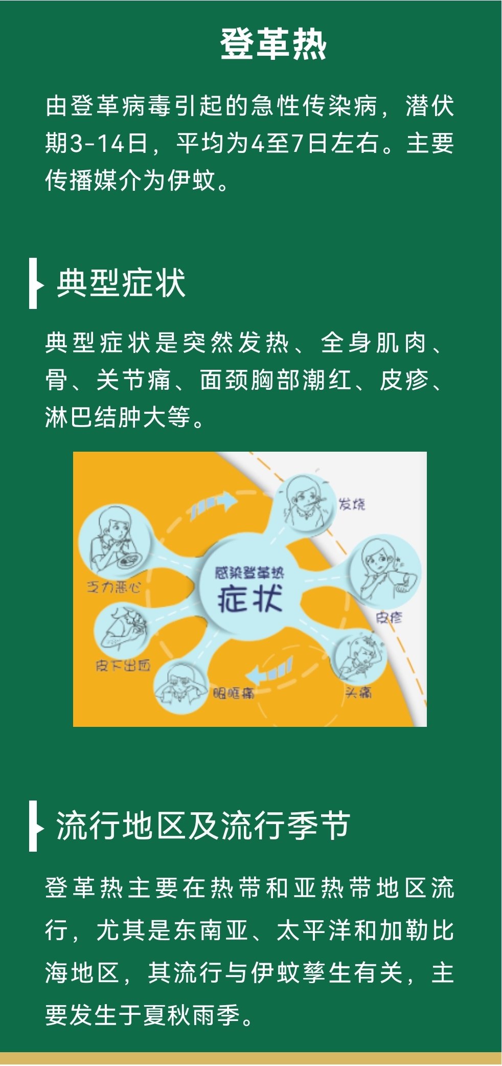 蚊子|转发给身边人！蚊子为什么总咬你？夏天如何防蚊？干货来了！