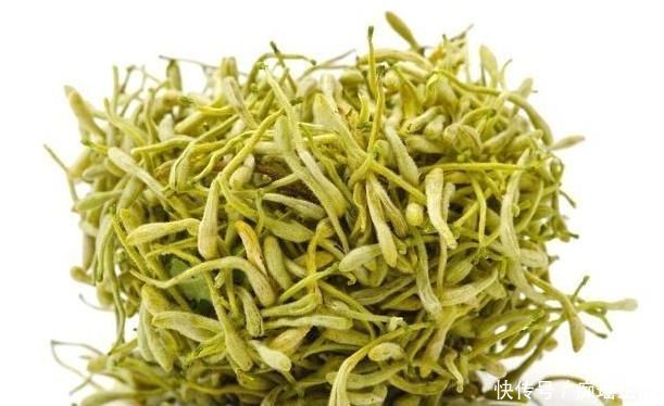 蒲公英茶|蒲公英有个“好搭档”,搭配饮用,坚持30天后,让你更年轻!