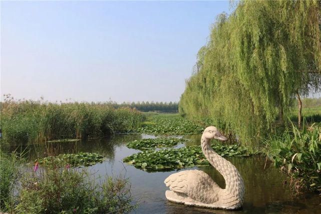 是去花海里畅游，还是去寻味历史，这个地方你说了算