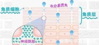 油皮 还在羡慕别人皮肤好护肤品可千万不要跟风,先看这一点!