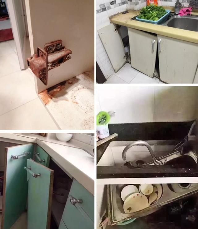 油烟|厨房定制橱柜时,我最明智的决定,就是没听“专业”人士的建议