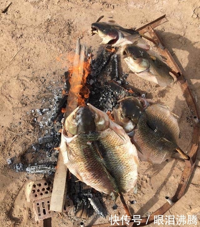 烤串|老板请吃烧烤20个人点4串被指太抠门!烤串端上桌后所有人傻眼!