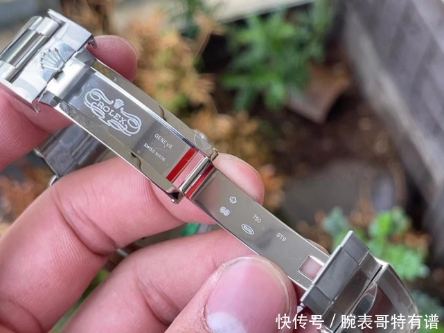 蓝水鬼?新配色?VS劳力士41mm蓝水鬼黑盘蓝圈