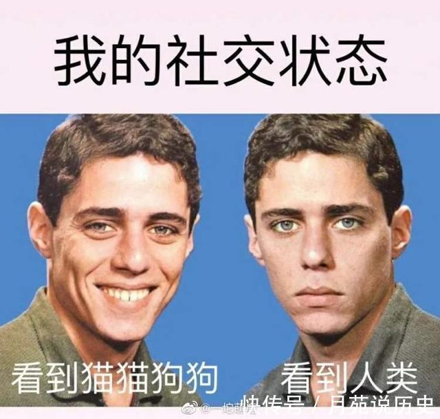 内向|听我一句劝，社恐别搜威震天