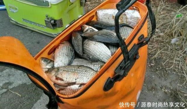 夏天唯独这鲫鱼饵才霸气,一般小药还真比不上!难老司机藏着掖着