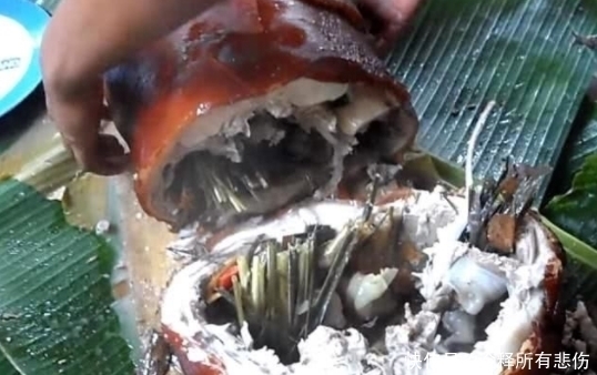 大妈请孙子吃烤乳猪,端上来时大呼满意,服务员切开后,两眼发傻