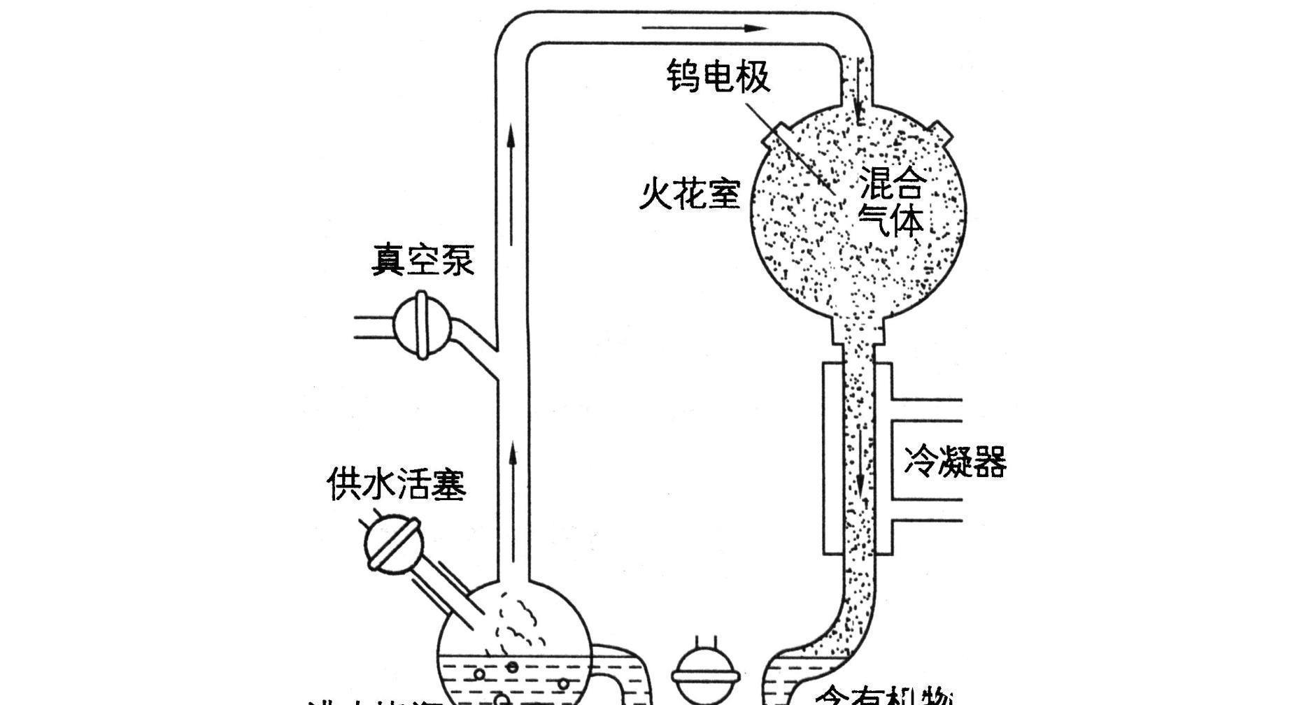 如果穿越回去杀死地球第一个生命，可以灭亡这个地球所有生物吗