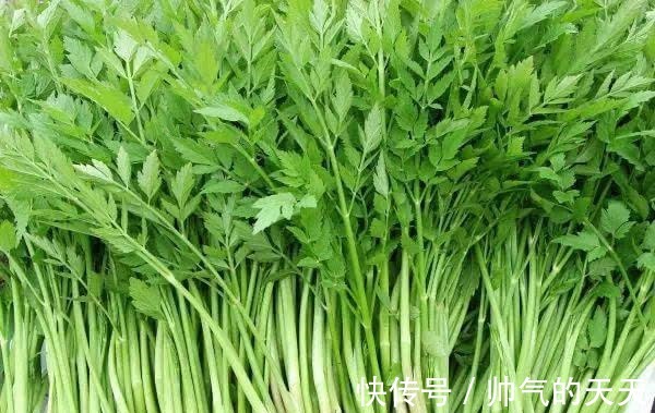 水芹羊肉饺|这几种猪都不理会的东西,城里人却当做“宝”,营养价值极高!