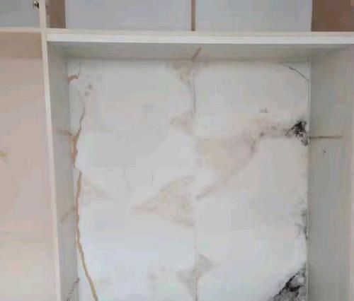 涂刷|入住不到半年衣柜内就充满霉味，扒开一看，为什么没人提醒我注意