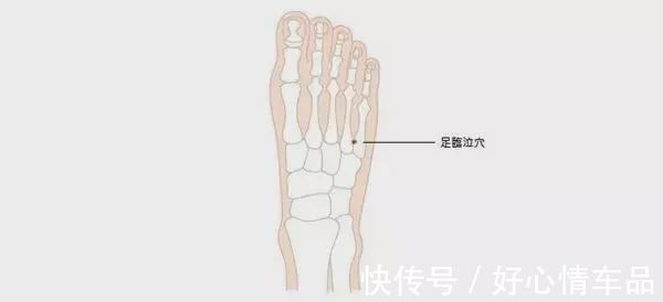 足临泣|足临泣的药用功效和作用