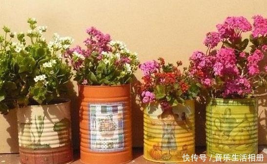 别再花钱买花盆了,将它们一处理栽种花草,个个都美得独一无二!