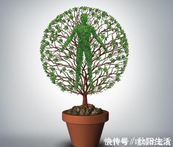 仰卧起坐|55岁后若4个动作还能轻松做,说明身体很健康,长寿“青睐”你