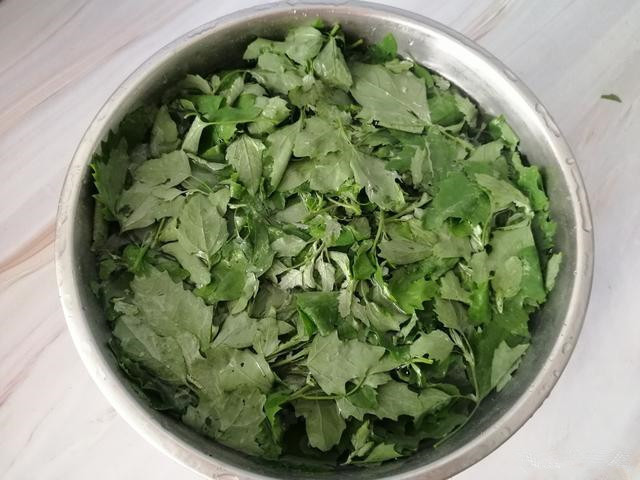 免费|人没老,腿先老!路边的“天然钙库”,补钙比鸡蛋强太多,还免费