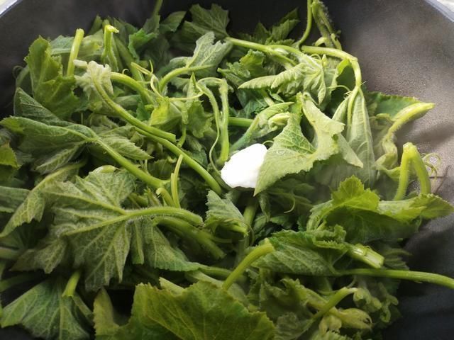 宿便|这蔬菜浑身都是宝,一分钱不花,刮油清肠排宿便,可惜很多人扔掉