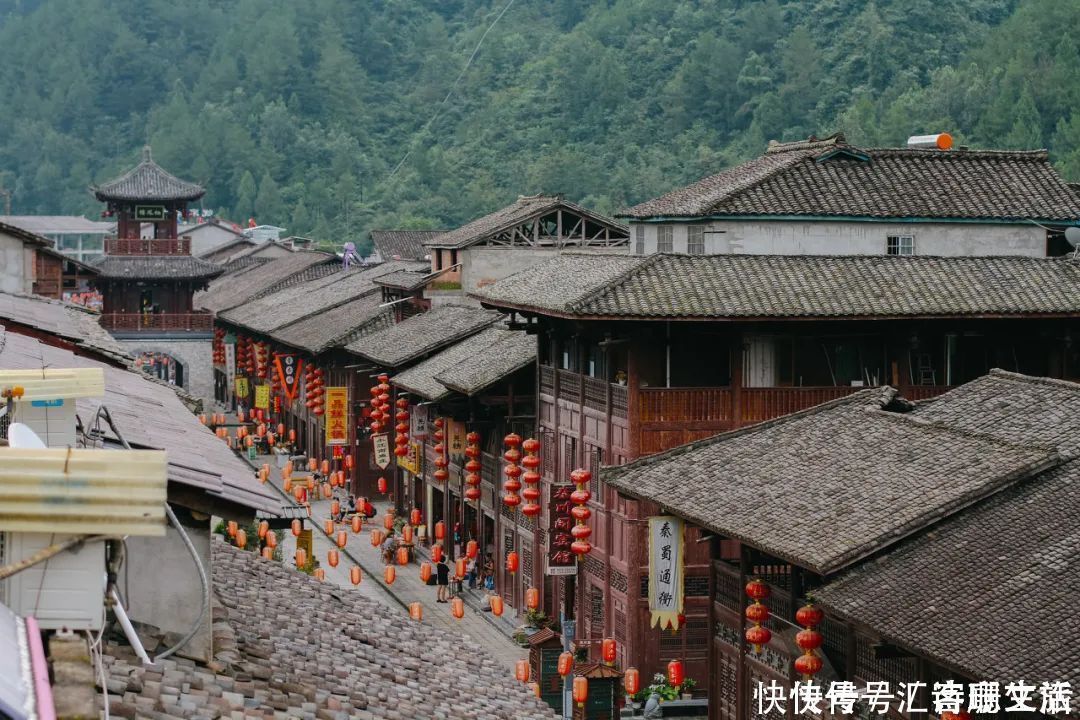 满山|秦岭深处满山红遍，绚丽多彩，惊艳着整个秋天