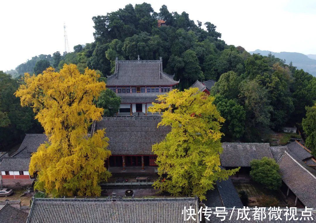 成都|终于等到你，成都第一批！淮州这里大有看头……