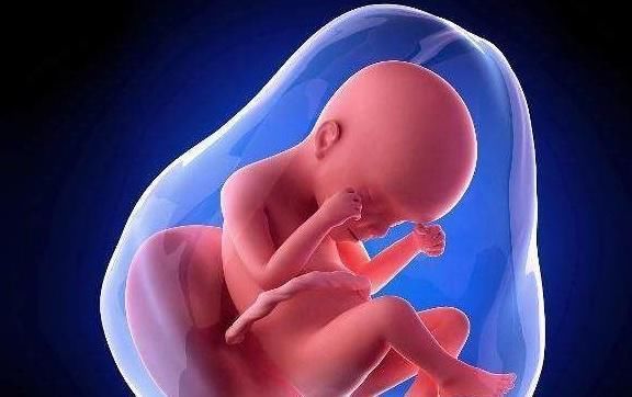 畸形|胎儿畸形多半发生在这个时候,只要安全通过,孕妈就可以放松点了
