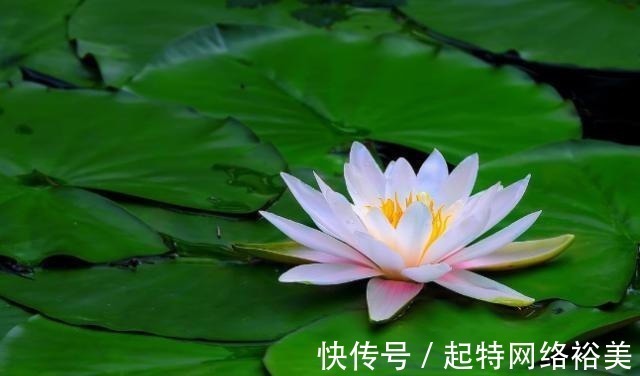 福运$老祖宗:积“阴德”的3件事,常做福运不请自来,你做了几件?