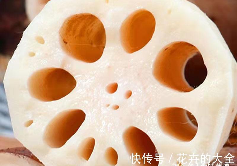 “7孔藕”和“9孔藕”有哪些区别？差别不止一点，弄懂再买也不迟