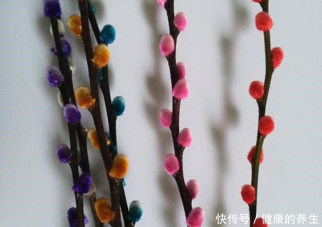 家有银柳,越过越有,这种春节畅销花,有2种打开方式!