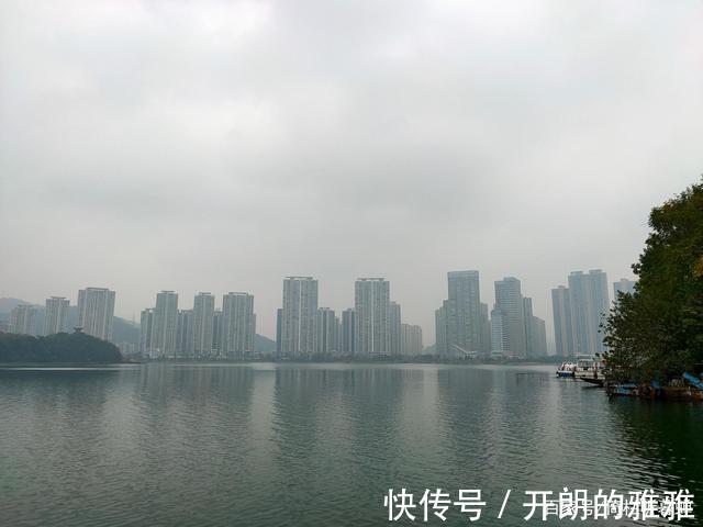 梅溪湖@《五绝·冬日游梅溪湖》逍遥碧水边,湖清树自闲