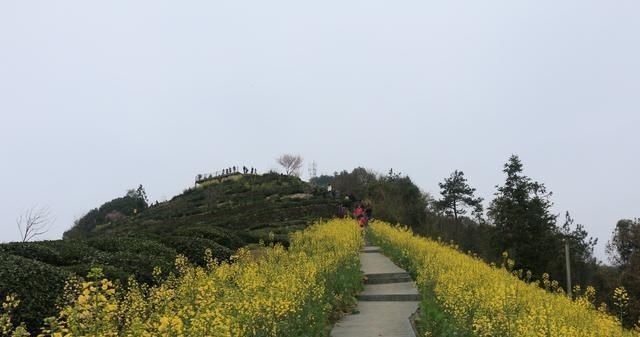 石潭村|中国必去免费古村云海缥缈,像现实版世外桃源80元住还管三餐