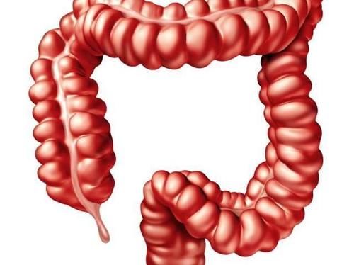 结节|结节、息肉、囊肿、增生，哪个是癌症“先兆”？一文给你说清