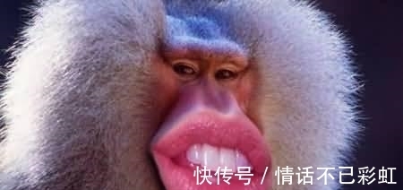 |夫妻搞笑段子：就算啥也不穿，也跟一大肉包子似的