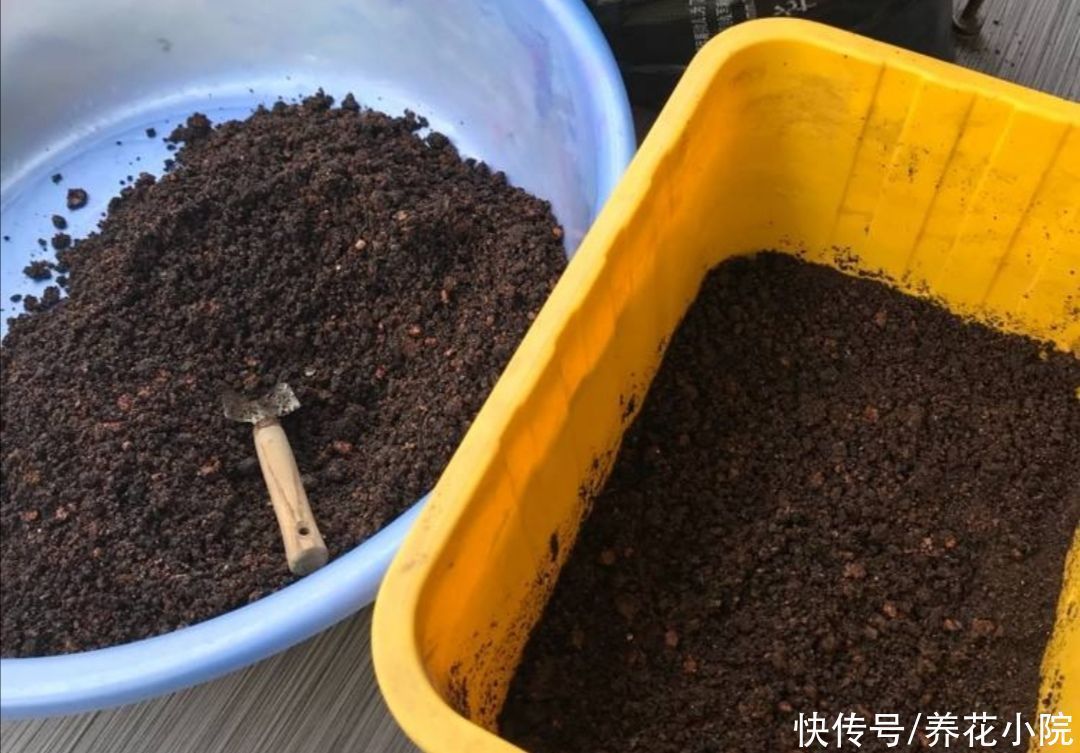 花友们|营养土不用买,几种材料掺一起,养分充足又松软,适合养各种花