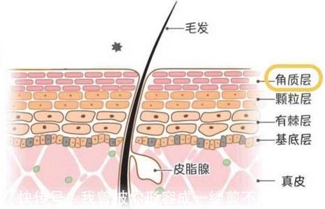成分|哺乳期可以用护肤品吗?会不会被婴儿吸收?这些成分要避开