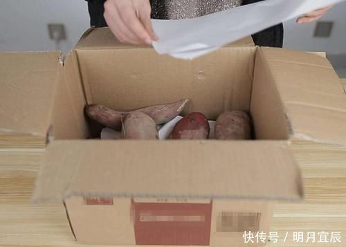 保存红薯,直接丢地上是大错!学会这招,放半年都不坏,越放越甜